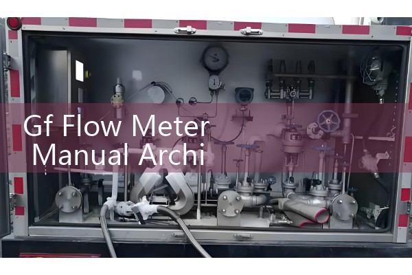 Gf Flow Meter Manual Archive: Technical Documentation for All Georg Fischer Piping Instruments